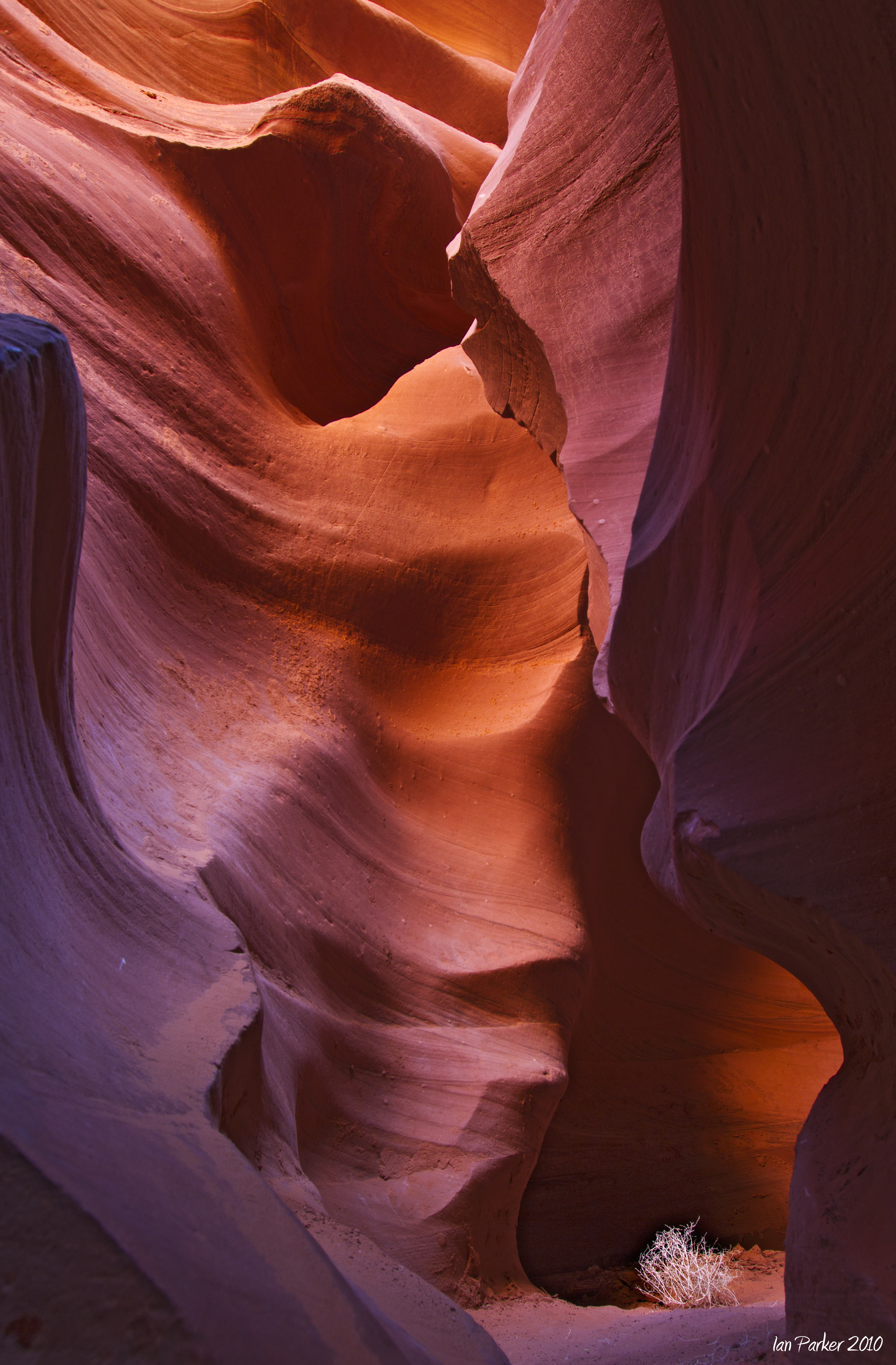 Evanescent Light : Slot Canyons